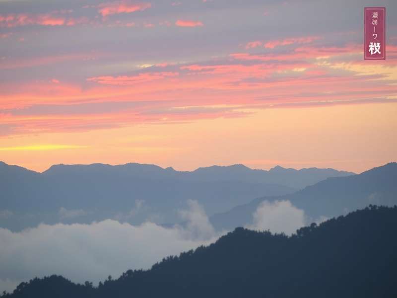 哈兰德庆祝进球